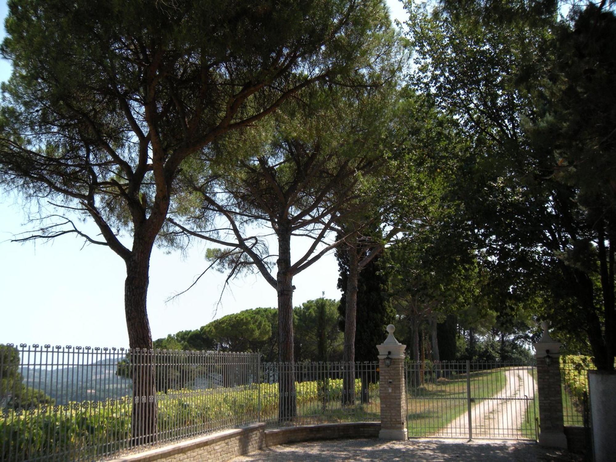 Il Pignocco Country House Santa Veneranda Luaran gambar